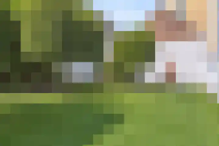 Haagdijk 142 B14 Breda thumbnail 5