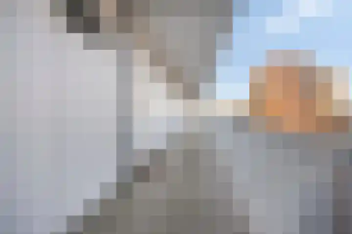 Haagdijk 142 C10 Breda thumbnail 5