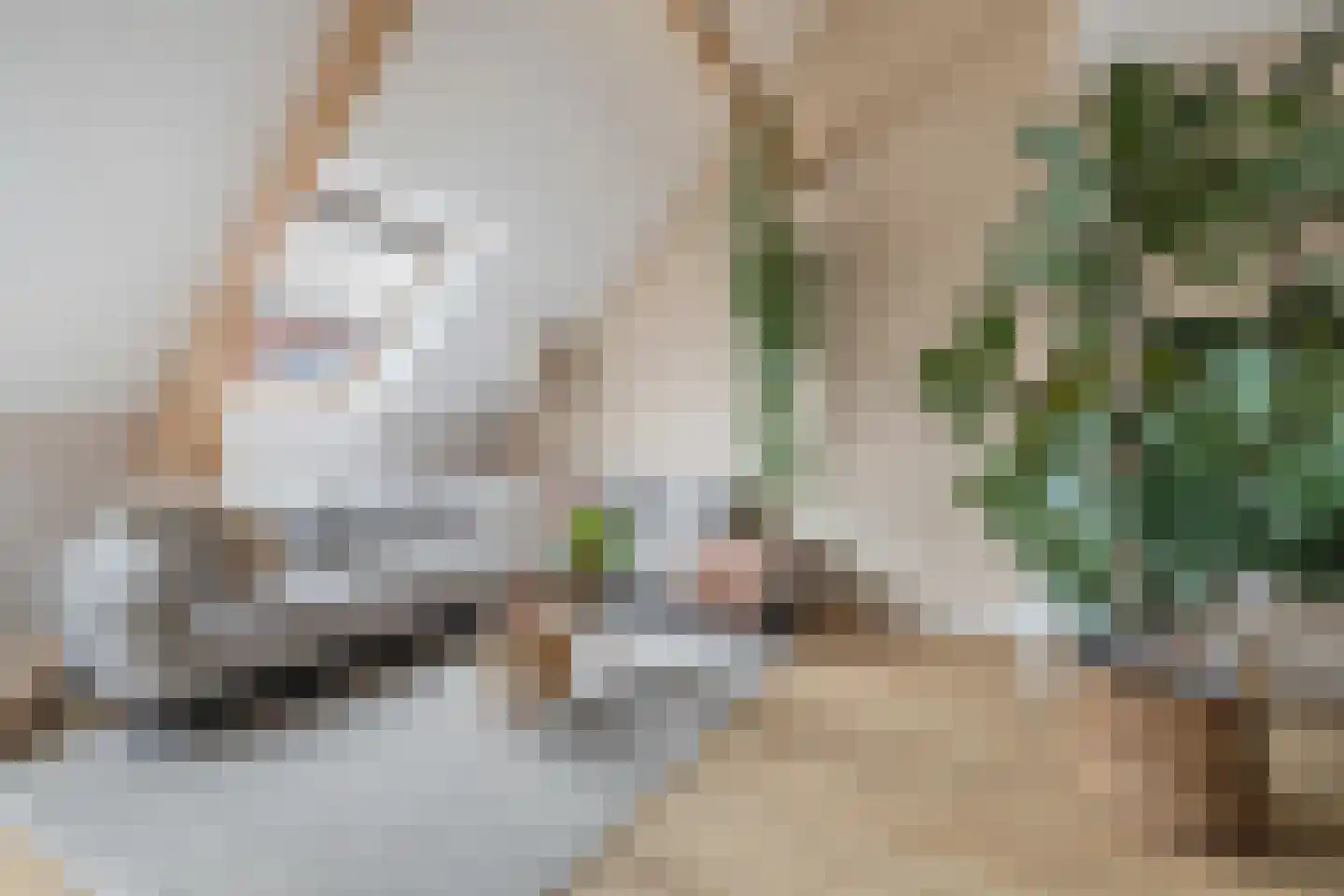 Haagdijk 142 C3 Breda thumbnail 22