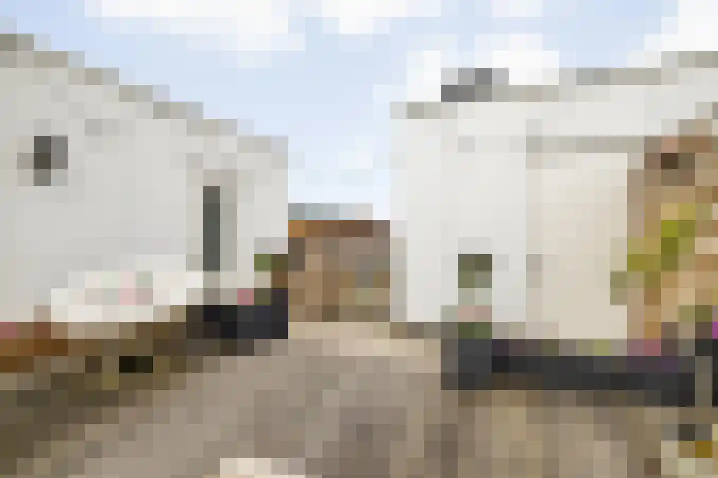 Haagdijk 142 C3 Breda thumbnail 54