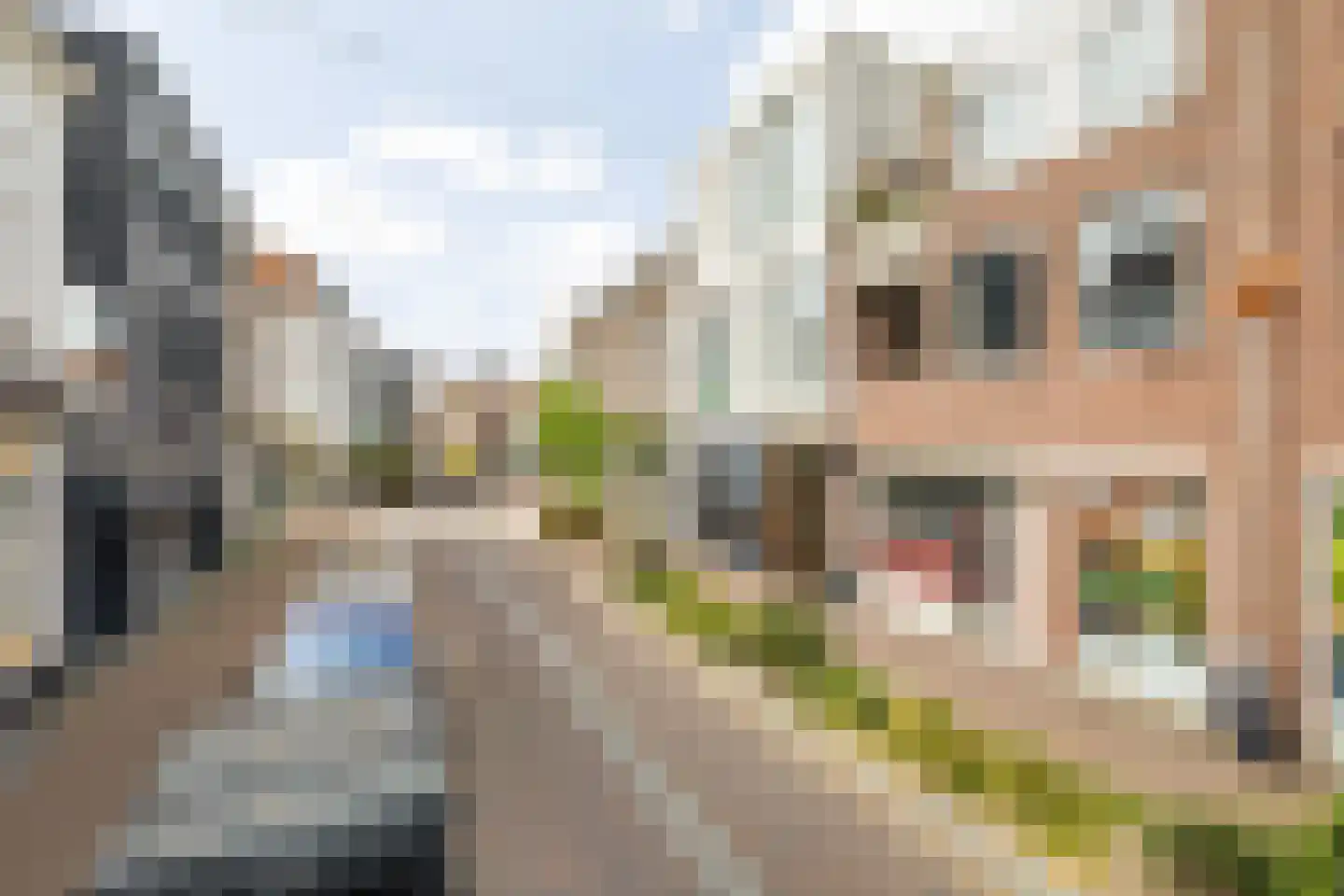 Haagdijk 142 C3 Breda thumbnail 7