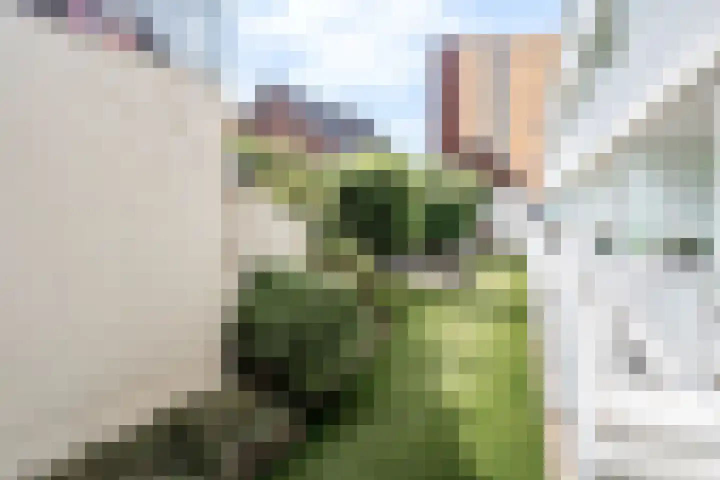 Haagdijk 142 C4 Breda thumbnail 32