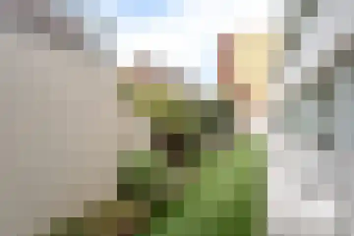 Haagdijk 146 Breda thumbnail 26