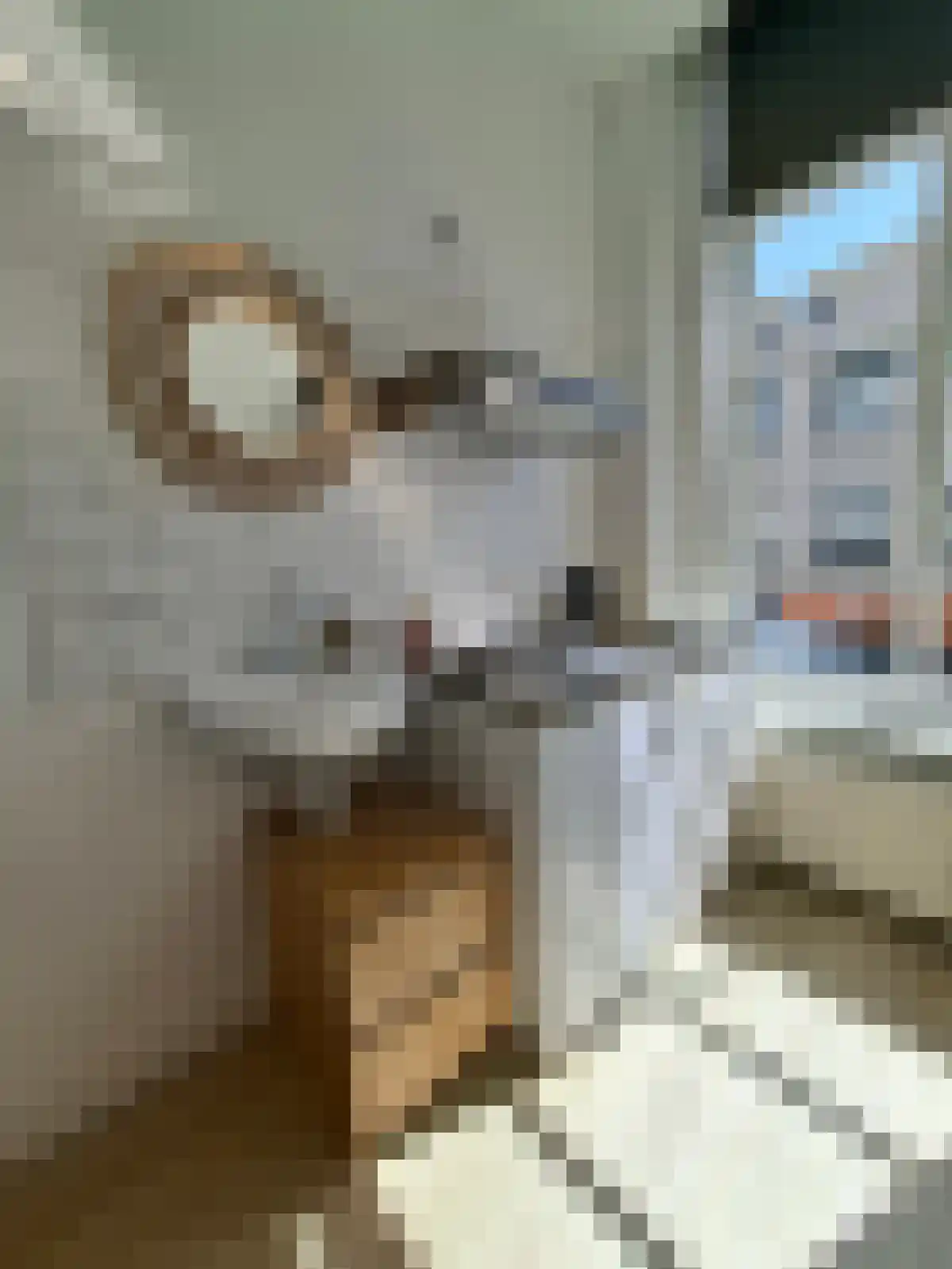 Haagdijk 6 Breda thumbnail 5
