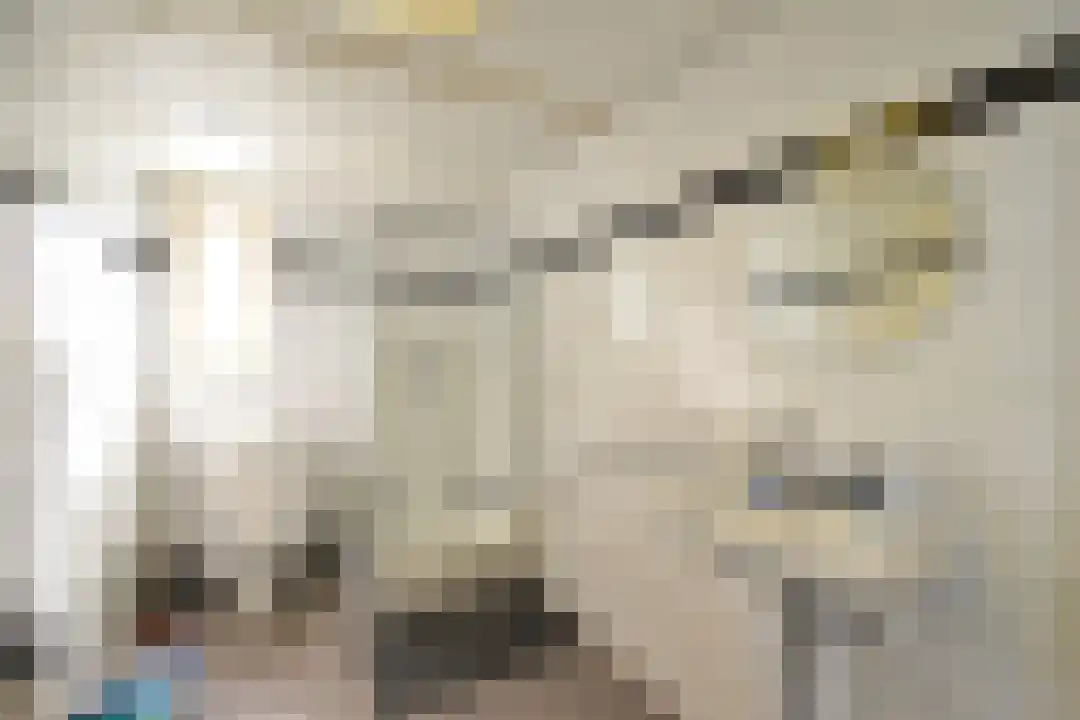 Haagdijk Breda thumbnail 5