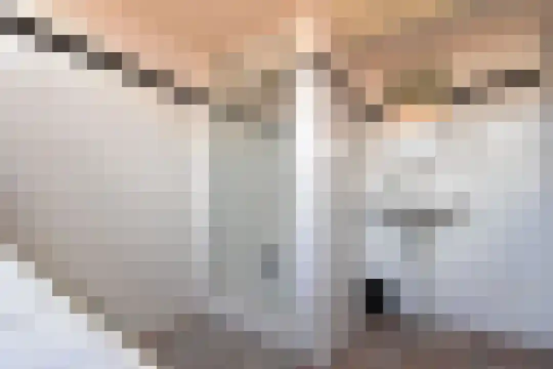 Haagdijk Breda thumbnail 5