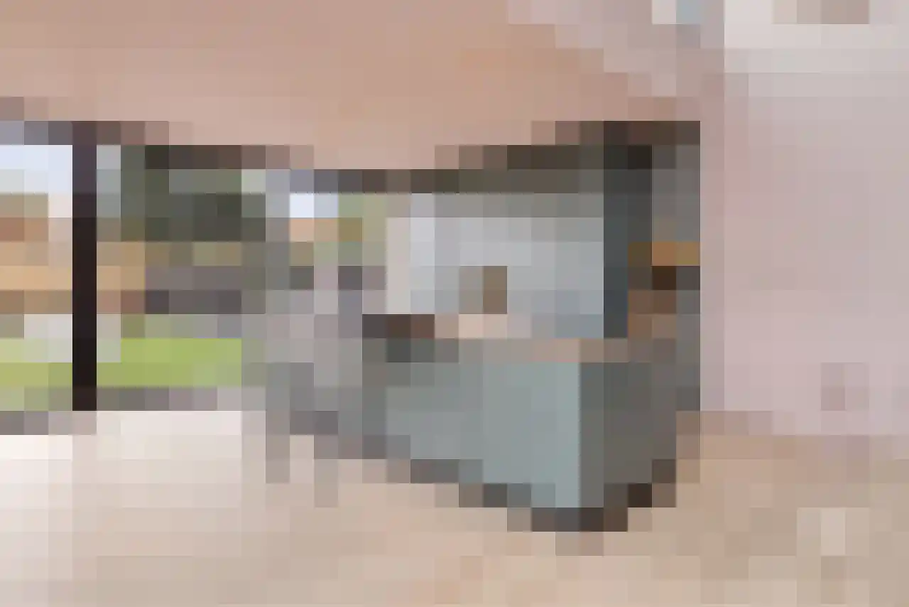 Haagdoorn 11 A Bergeijk thumbnail 8