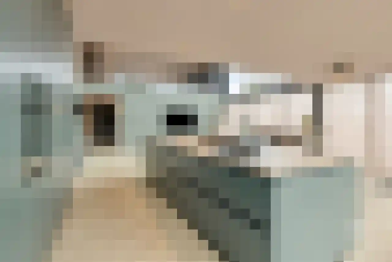 Haagdoorn 11 A Bergeijk thumbnail 9