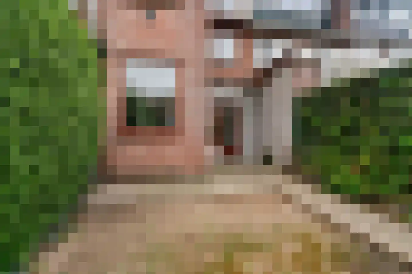 Haagdoornstraat 28 Arnhem thumbnail 47