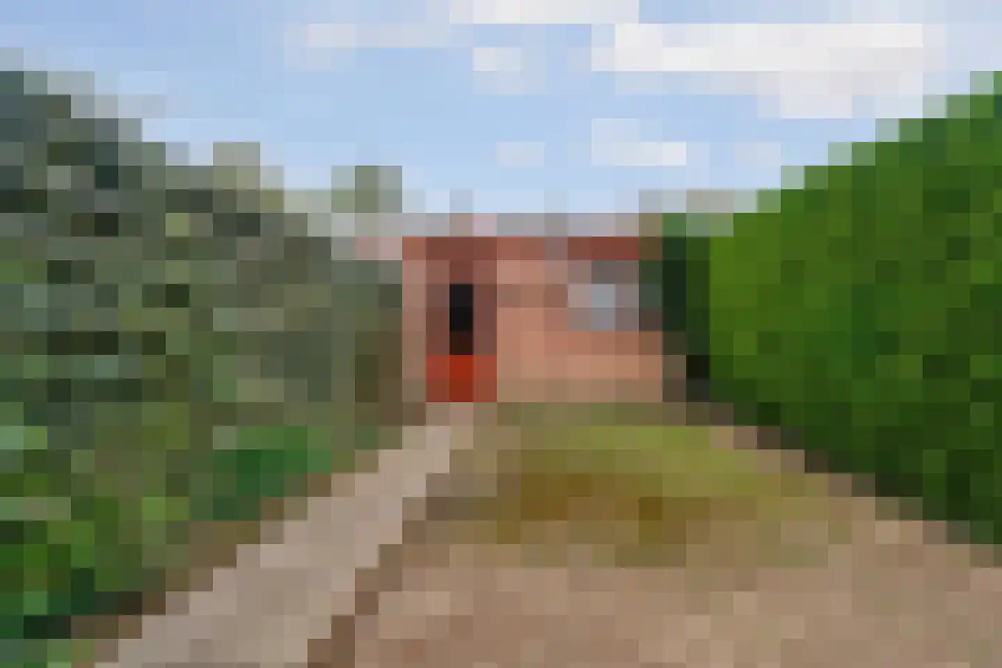 Haagdoornstraat 28 Arnhem thumbnail 50