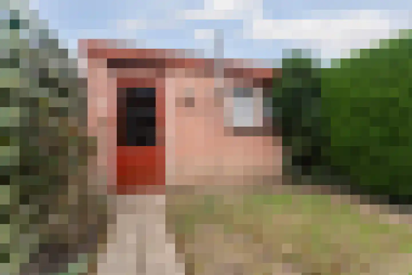 Haagdoornstraat 28 Arnhem thumbnail 51