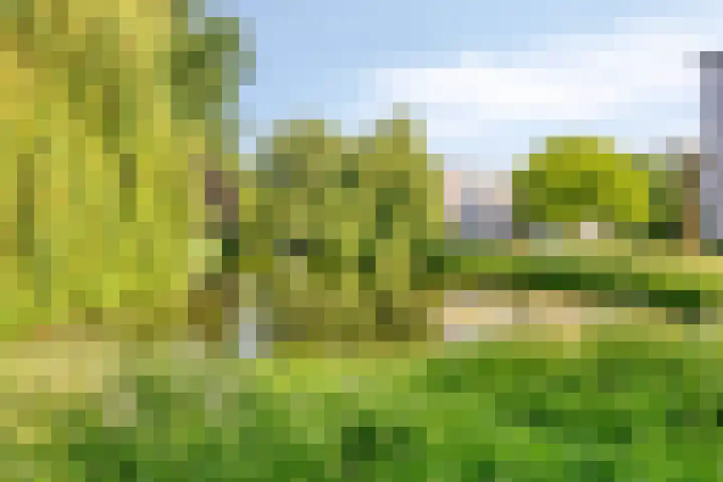 Haagdoornstraat 40 Arnhem thumbnail 33