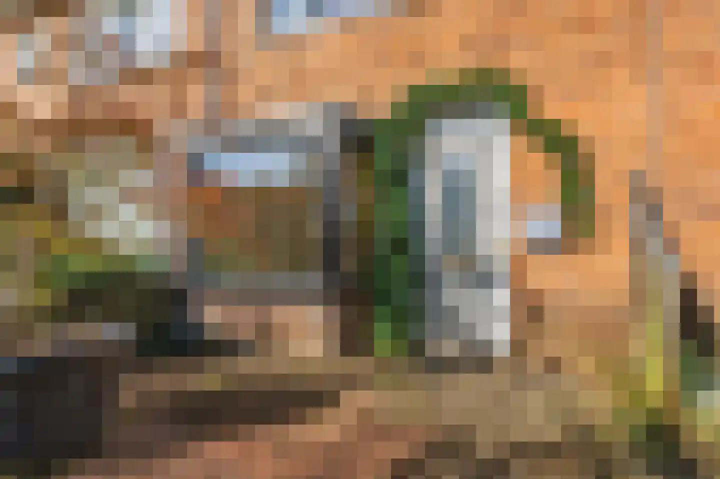 Haagdoornstraat 56 Arnhem thumbnail 30