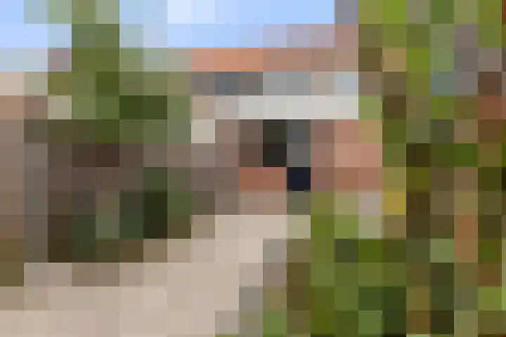 Haagdoornstraat 57 Arnhem thumbnail 17