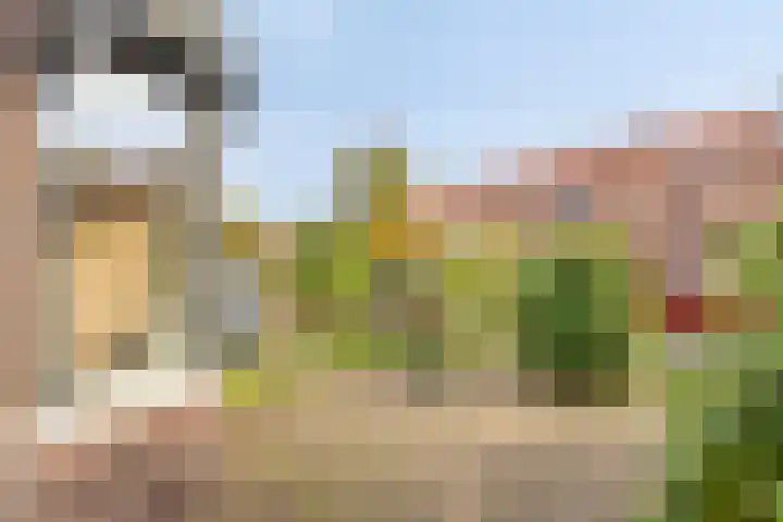 Haagdoornstraat 74 Arnhem thumbnail 4
