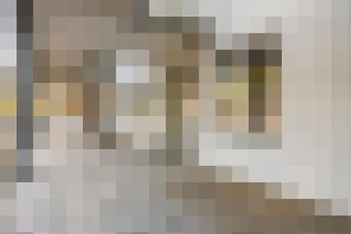 Haageinderhof 8 Valkenswaard thumbnail 11