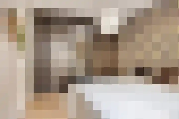 Haageinderhof 8 Valkenswaard thumbnail 21