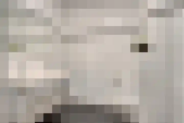 Haageinderhof 8 Valkenswaard thumbnail 22