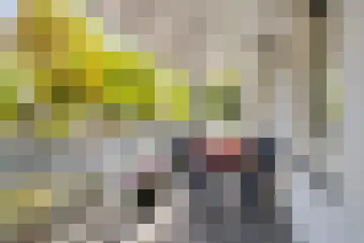 Haageinderhof 8 Valkenswaard thumbnail 27