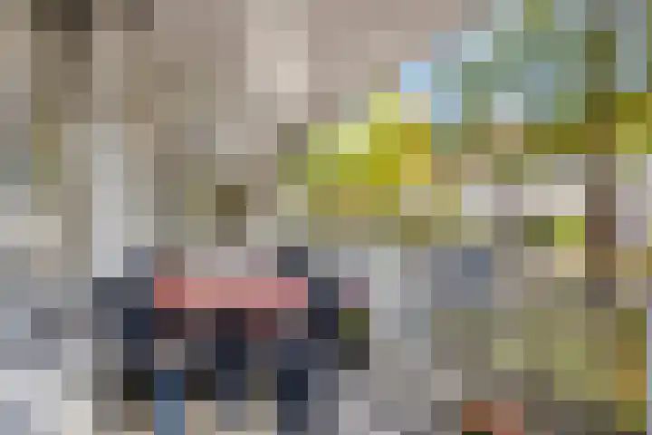 Haageinderhof 8 Valkenswaard thumbnail 28
