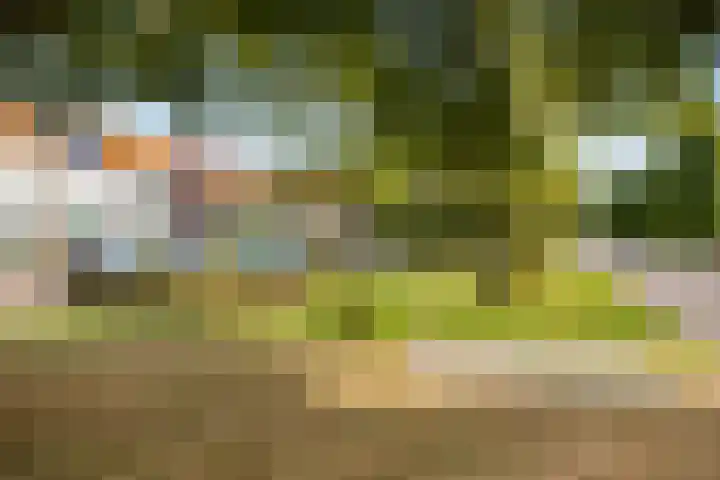 Haageinderhof 8 Valkenswaard thumbnail 30