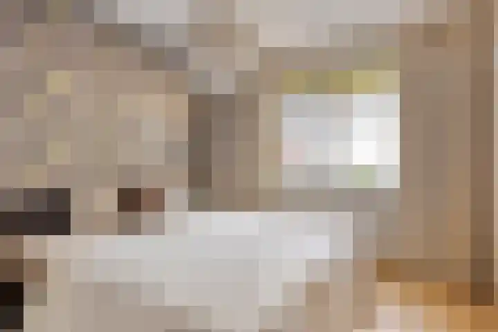 Haageinderhof 8 Valkenswaard thumbnail 4
