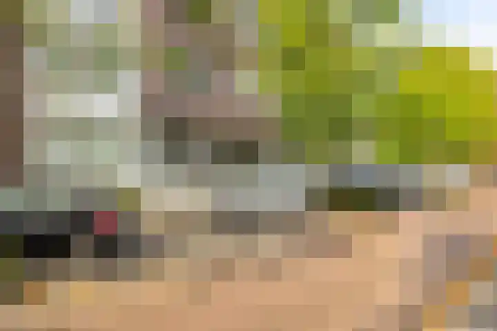 Haageinderhof 8 Valkenswaard thumbnail 6