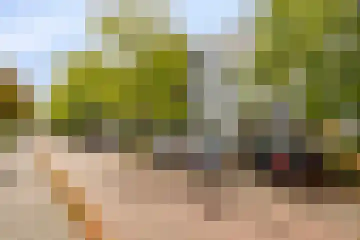 Haageinderhof 8 Valkenswaard thumbnail 7