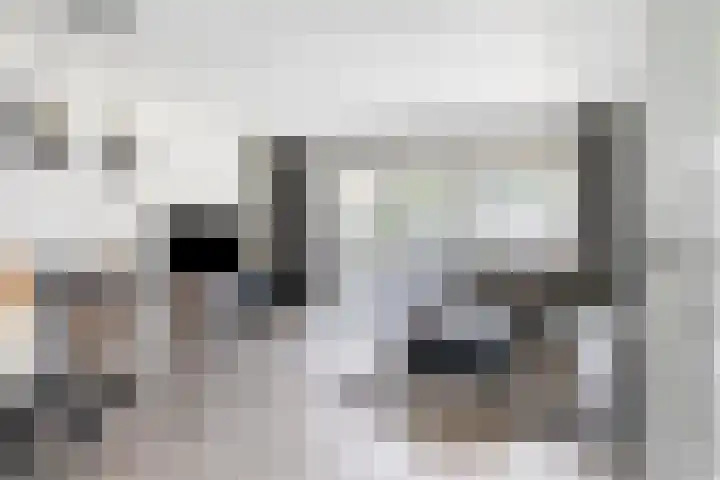 Haaghout 10 A Helmond thumbnail 11