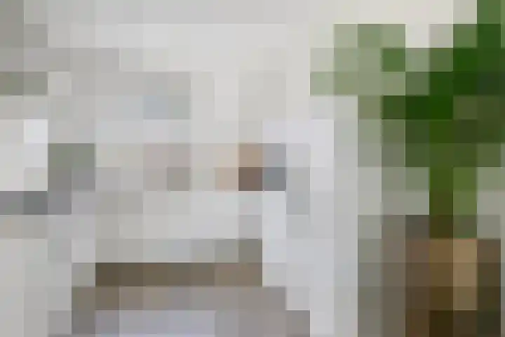 Haaghout 10 A Helmond thumbnail 16
