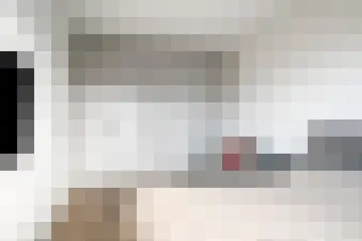 Haaghout 10 A Helmond thumbnail 21