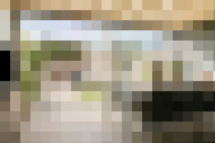Haaghout 10 A Helmond thumbnail 27