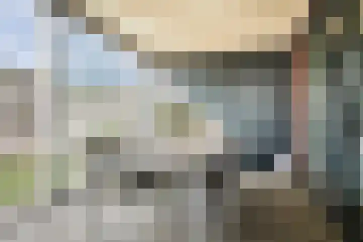 Haaghout 10 A Helmond thumbnail 28