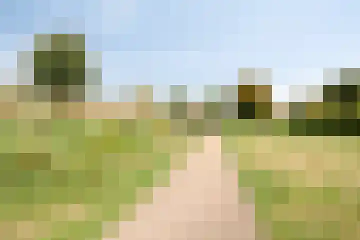 Haaghout 10 A Helmond thumbnail 33