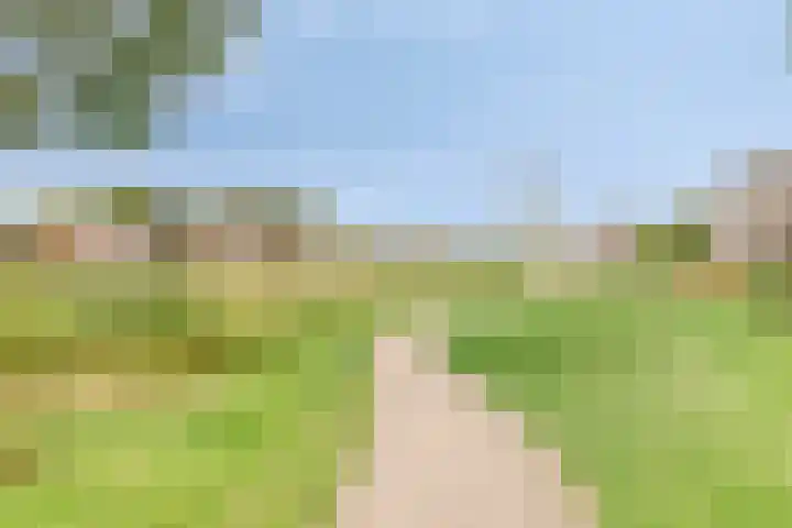 Haaghout 10 A Helmond thumbnail 34