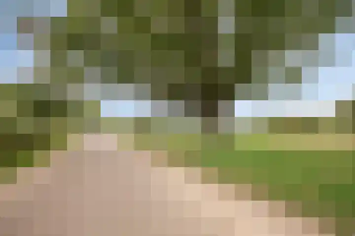 Haaghout 10 A Helmond thumbnail 35