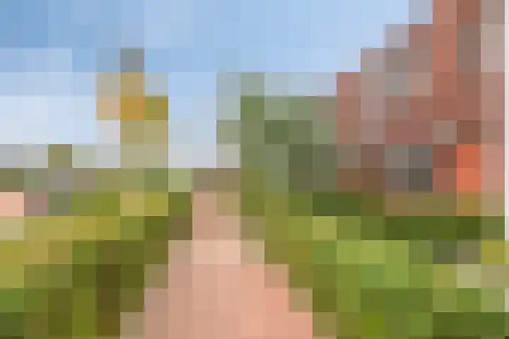 Haaghout 10 A Helmond thumbnail 7