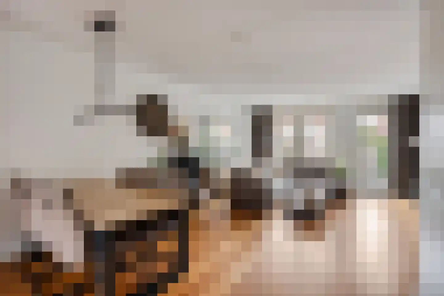 Haaghout 17 Helmond thumbnail 11