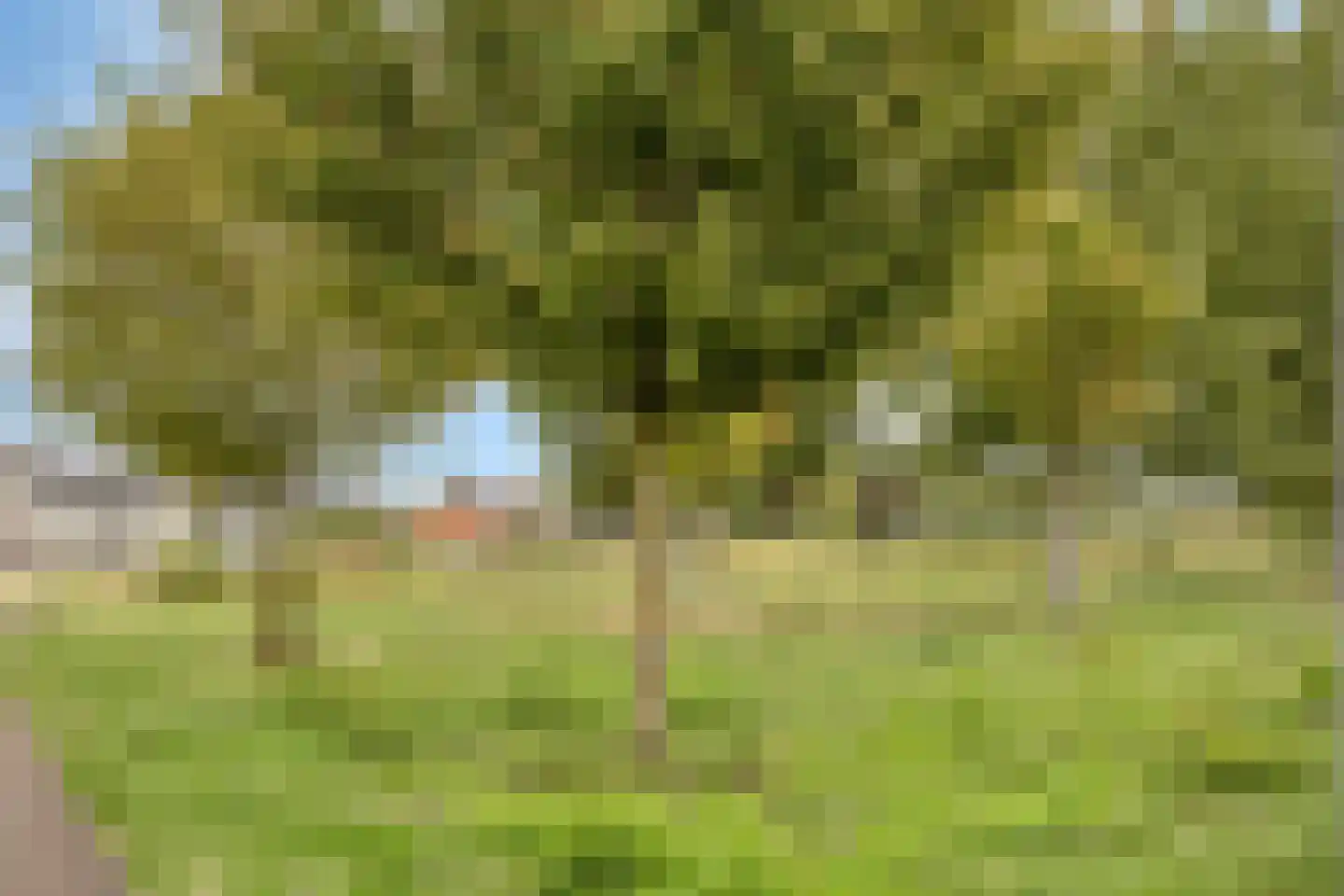 Haaghout 17 Helmond thumbnail 29