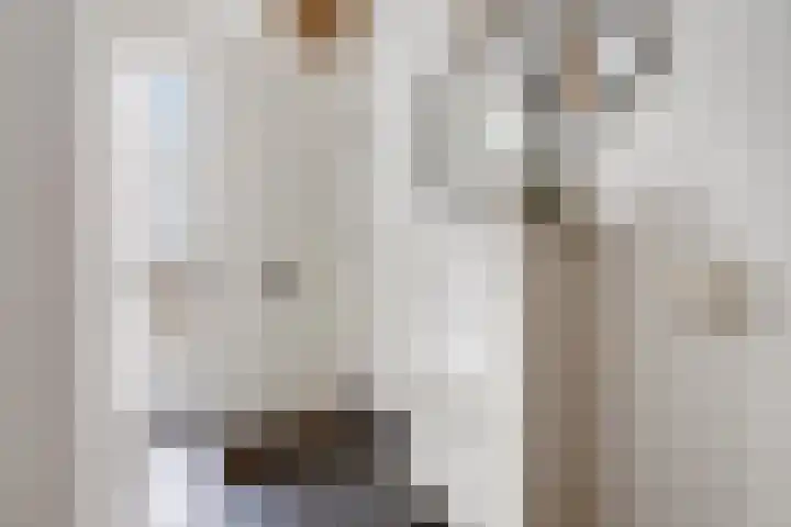 Haaghout 19 Helmond thumbnail 12