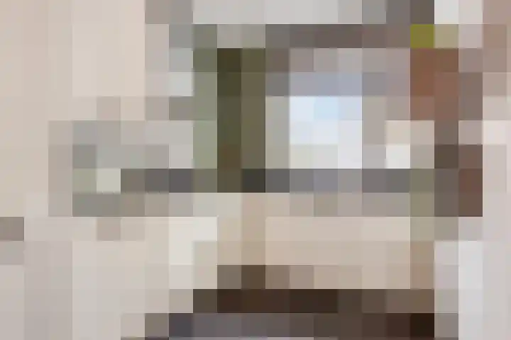 Haaghout 19 Helmond thumbnail 18