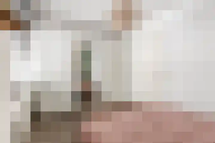 Haaghout 19 Helmond thumbnail 24