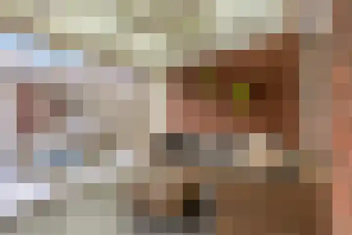 Haaghout 19 Helmond thumbnail 31