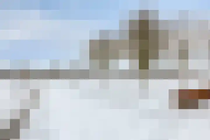 Haaghout 19 Helmond thumbnail 36