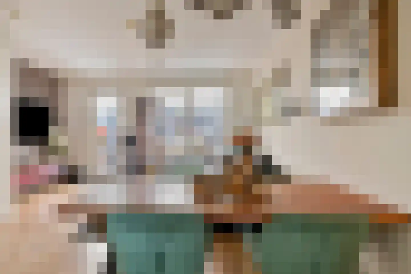 Haaghout 5 Helmond thumbnail 12