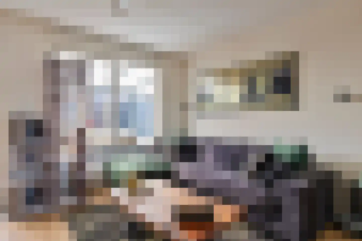 Haaghout 5 Helmond thumbnail 13