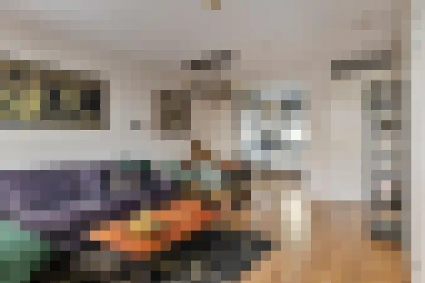 Haaghout 5 Helmond thumbnail 14