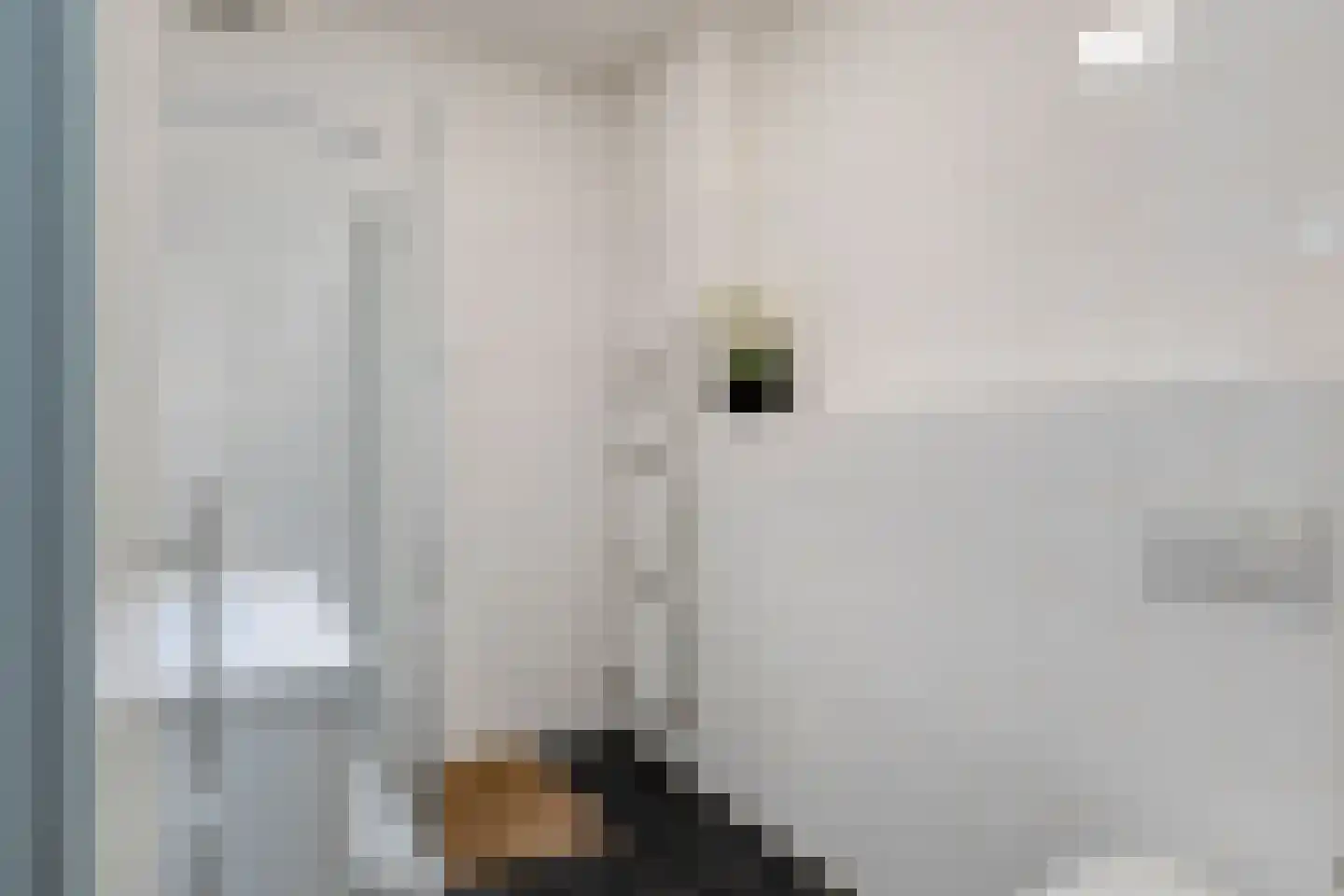 Haaghout 5 Helmond thumbnail 21