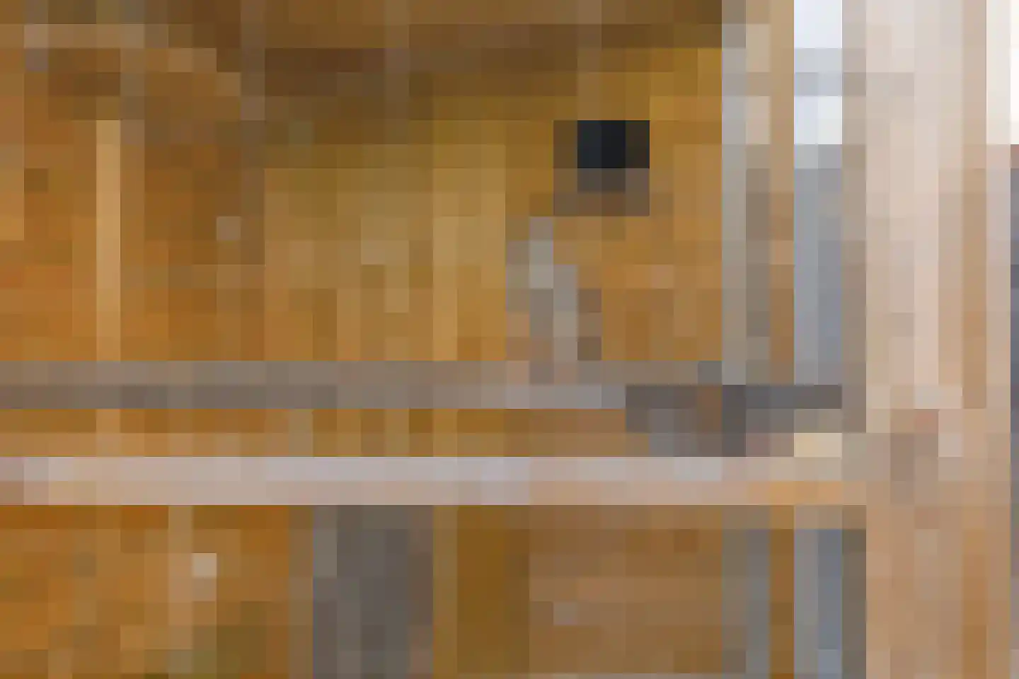 Haaghout 5 Helmond thumbnail 33
