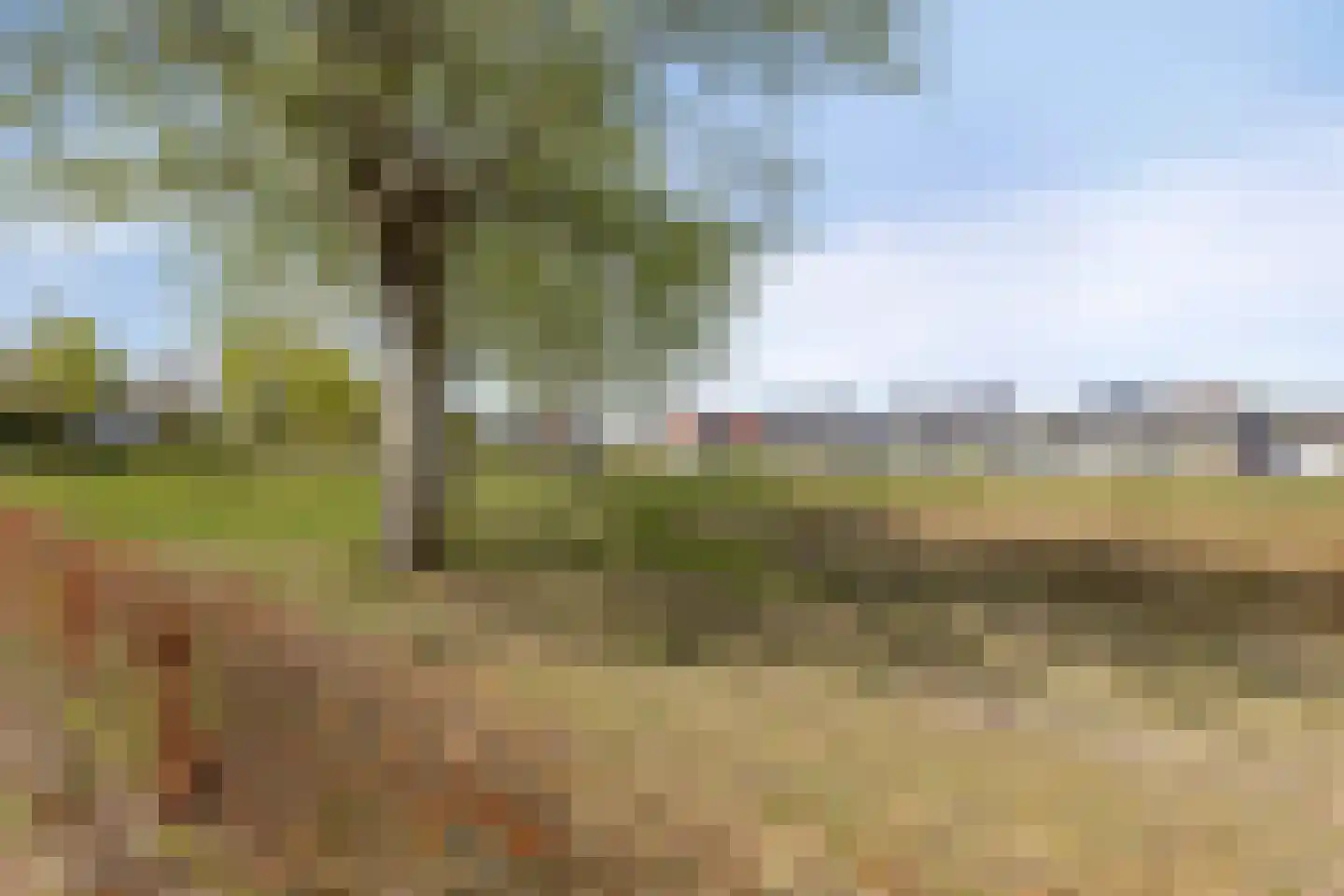 Haaghout 5 Helmond thumbnail 37